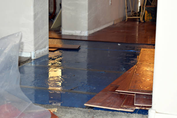 Professional Water Damage Restoration technician working in Loxahatchee, FL